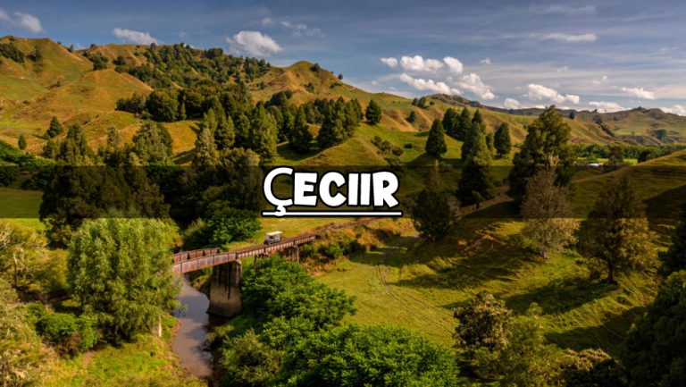 Çeciir: A Journey through Time, Flavor, and Culture