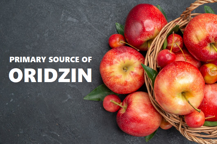 Oridzin in Apples: Unveiling the Health Benefits of a Hidden Gem